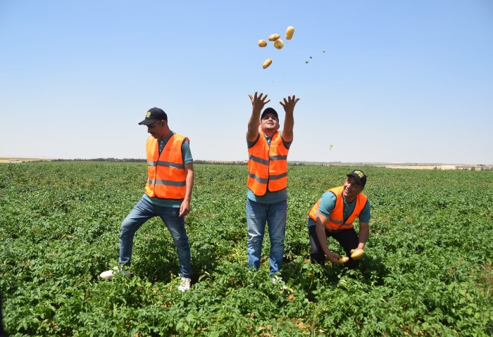 مشروع مستقبل مصر للإنتاج الزراعي