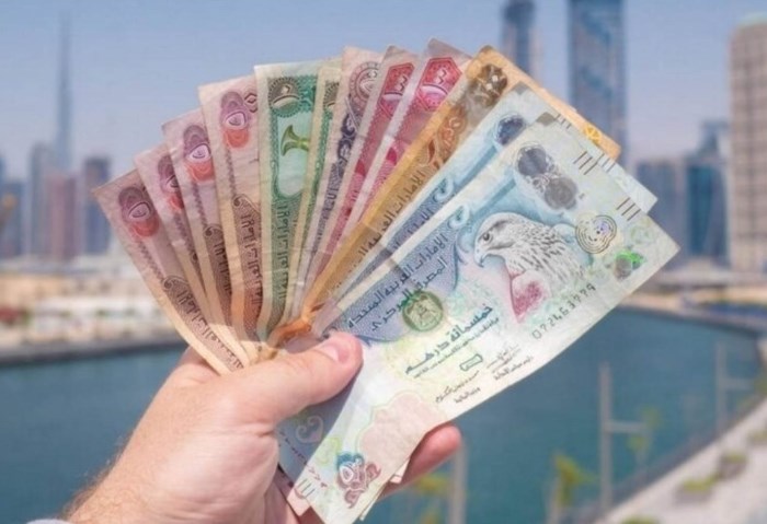 الدرهم الإماراتي