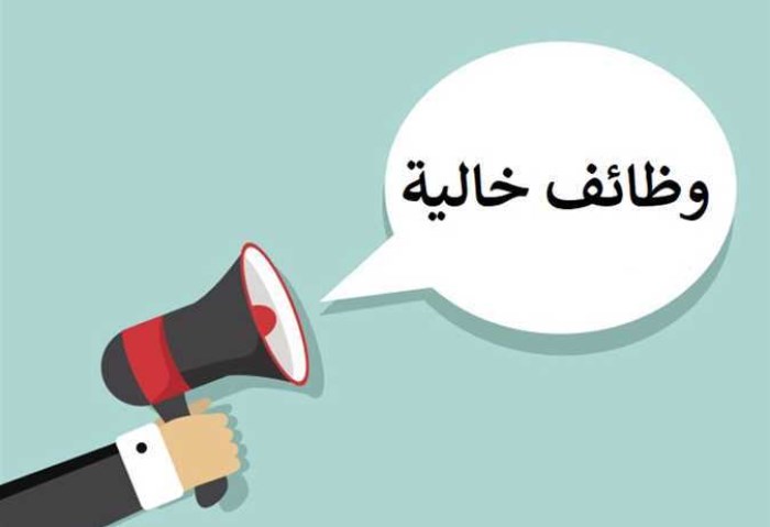 وظائف التنمية المحلية