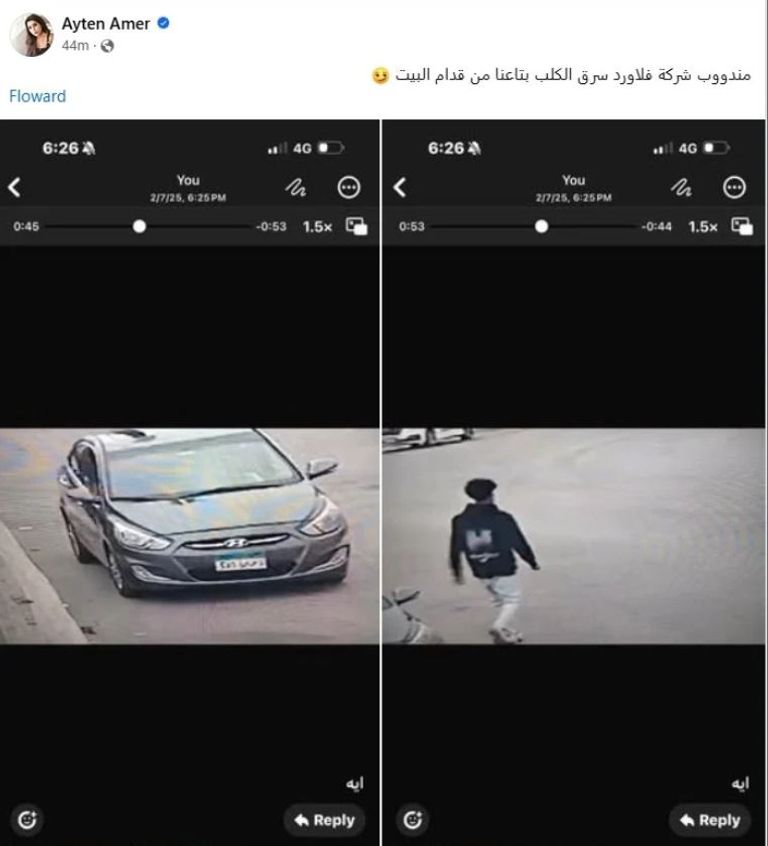 أيتن عامر