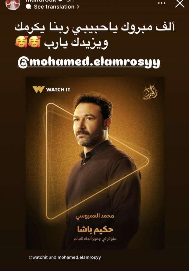 بوستر حكيم باشا