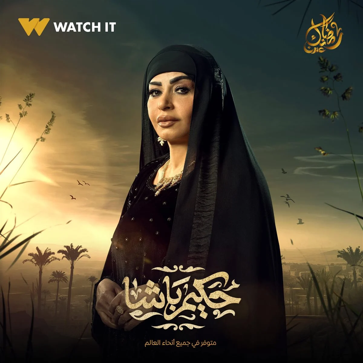 بوستر مسلسل حكيم باشا