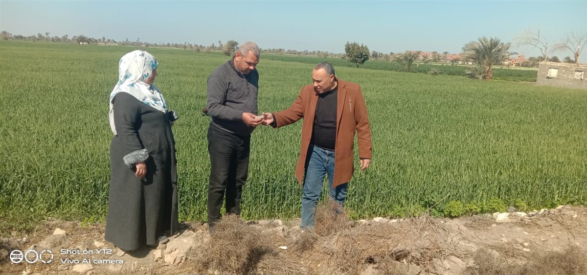حمله &nbsp;المكافحة بمديرية الزراعة بالفيوم للقضاء على القوارض