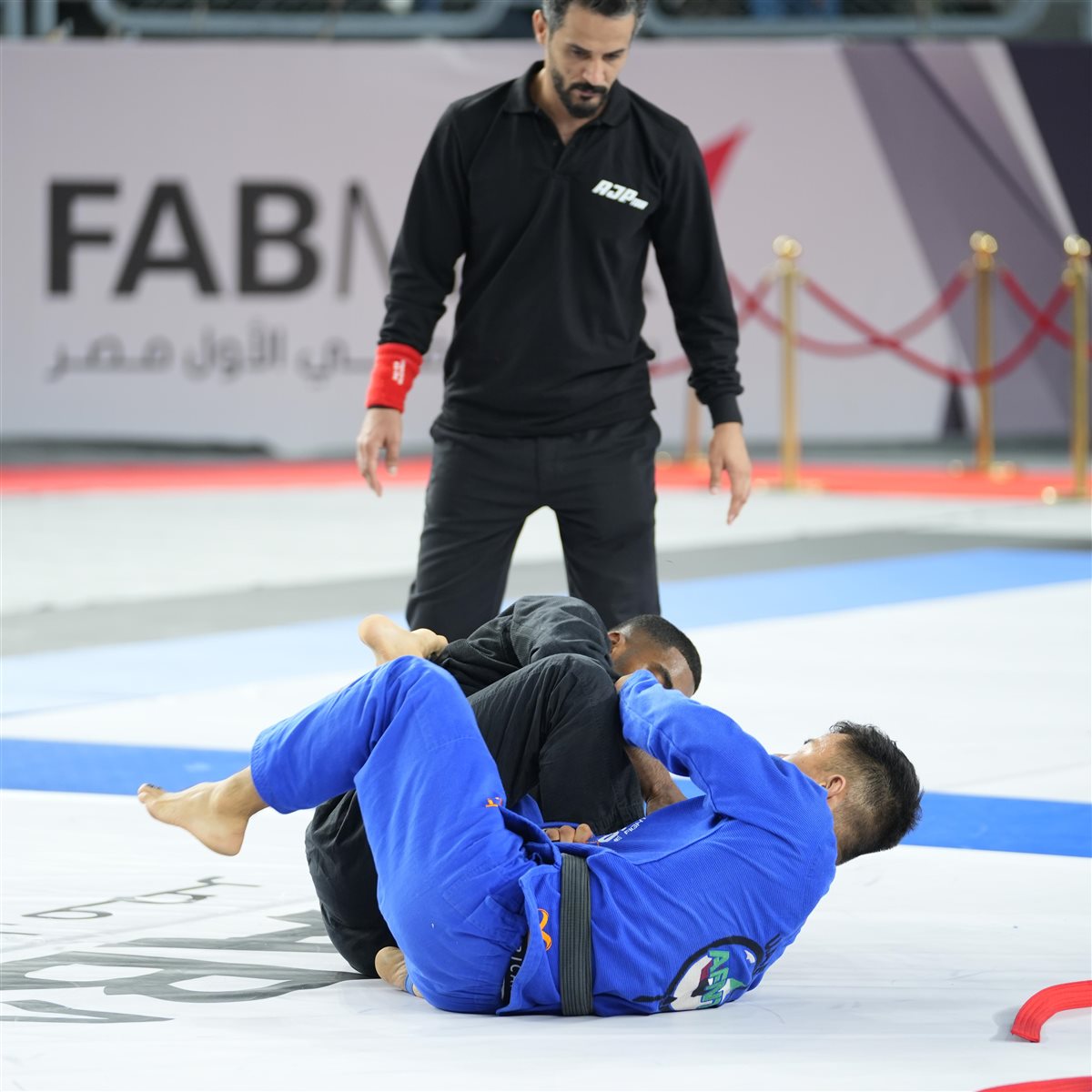 محترفي الجوجيتسو