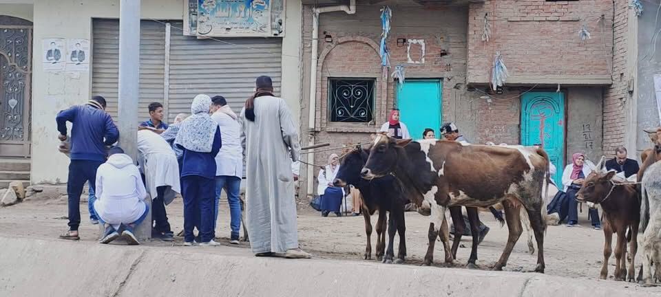 جامعة الفيوم تنظم قافلة بيطرية مجانية بقرية بحر أبو المير التابعة لمركز إطسا &nbsp;