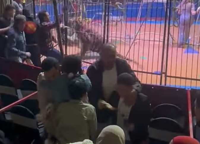 حادث سيرك طنطا