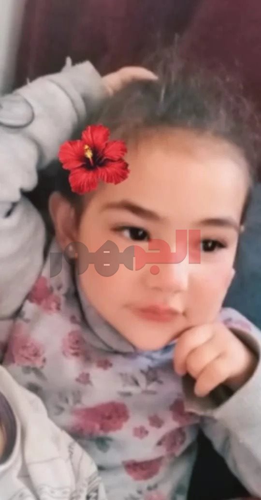 ضحايا حادث عقار الإسكندرية