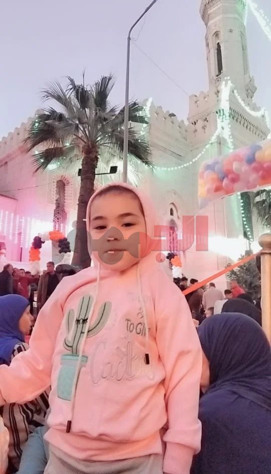 ضحايا حادث عقار الإسكندرية