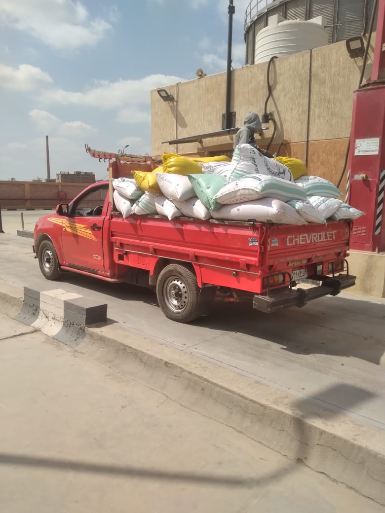 جانب من بدء توريد القمح اليوم