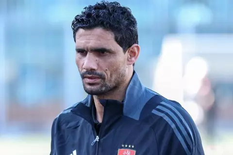 محمد نجيب