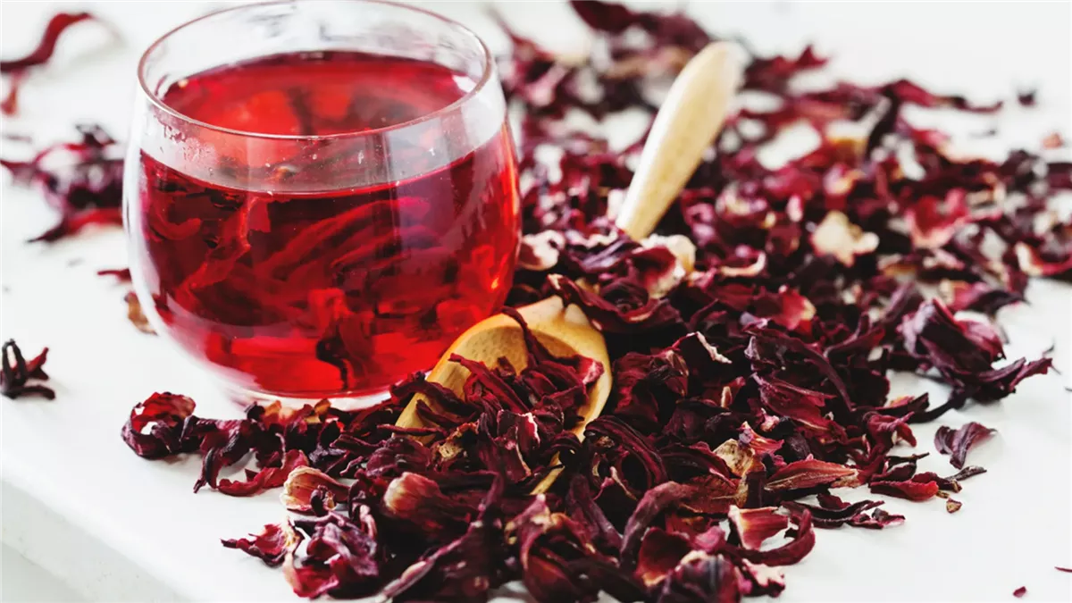 الكركدية&nbsp;