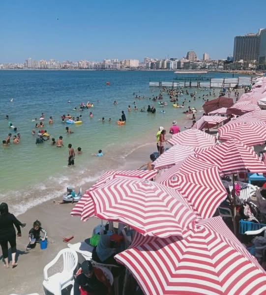 <strong>المصايف بالإسكندرية</strong>