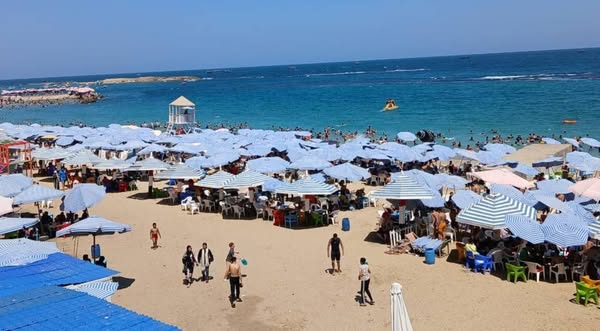 <strong>المصايف بالإسكندرية</strong>