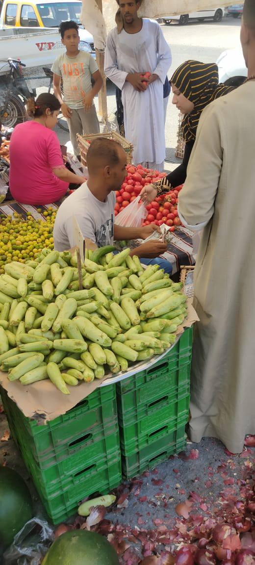 افتتاح سوق اليوم الواحد لبيع السلع بالغردقة