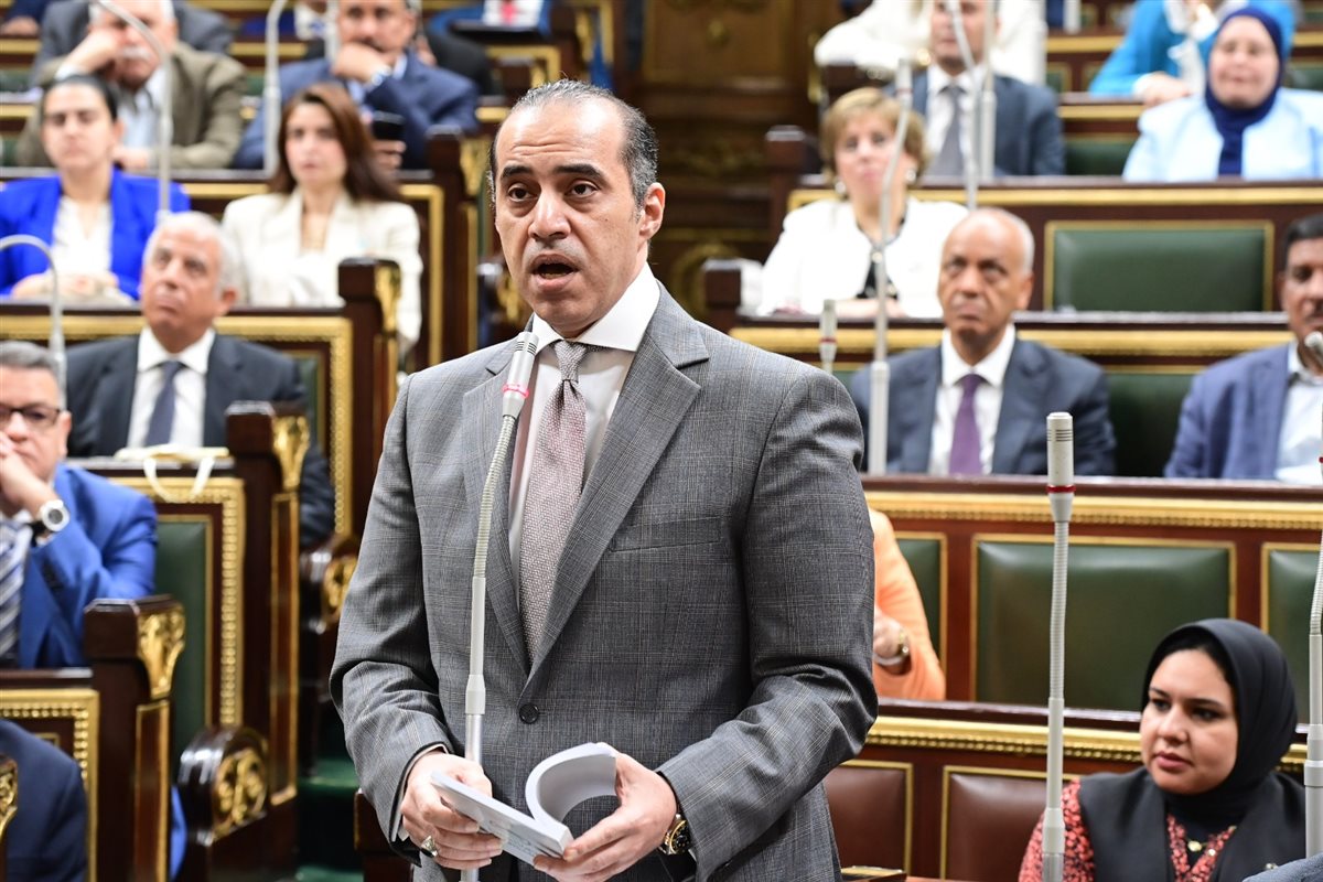 المستشار محمود فوزي
