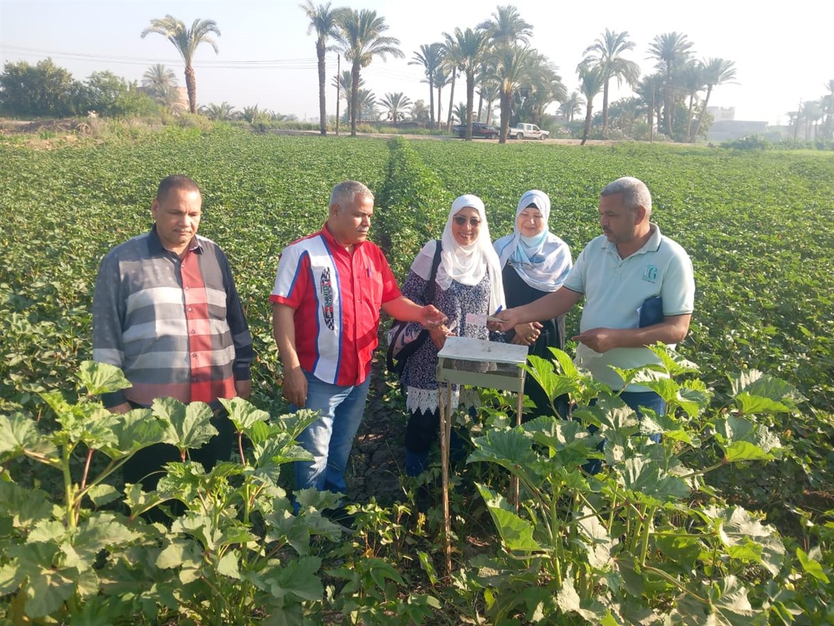 جانب من زيارة لجنة الارشاد الزراعى لأحدى حقول الفيوم