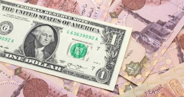 سعر الدولار 