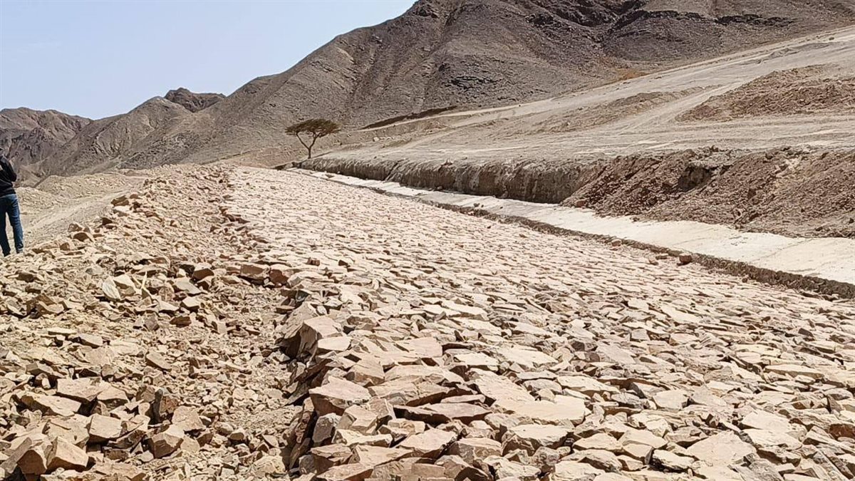 مشروعات التنمية