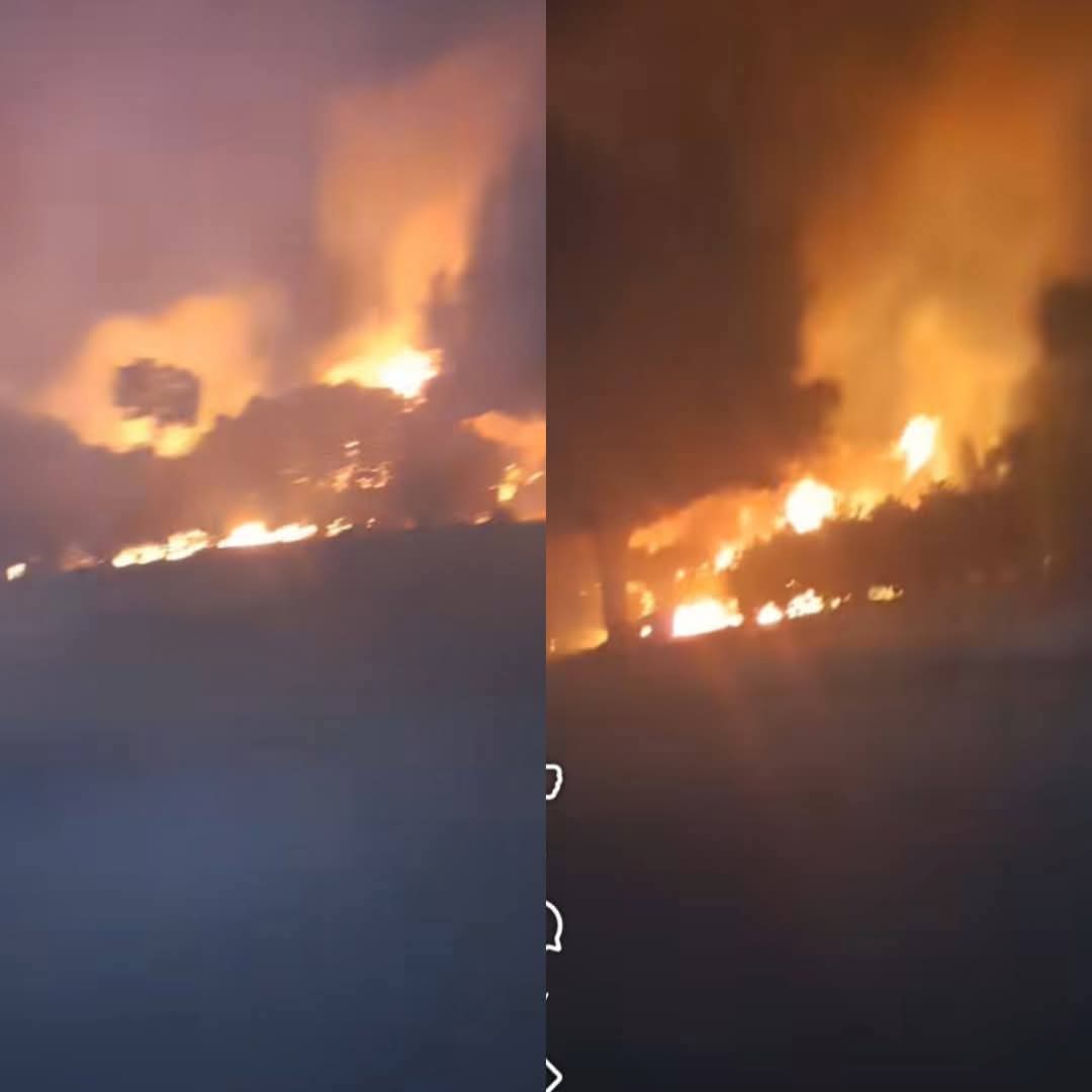 حريق مشتل كفر العلو