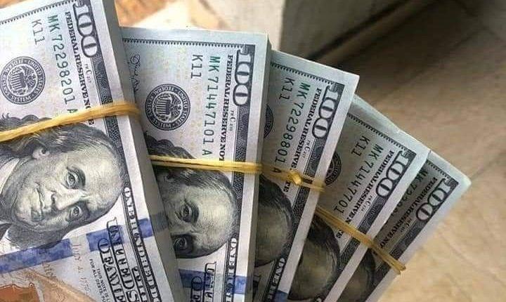 سعر الدولار في مصر