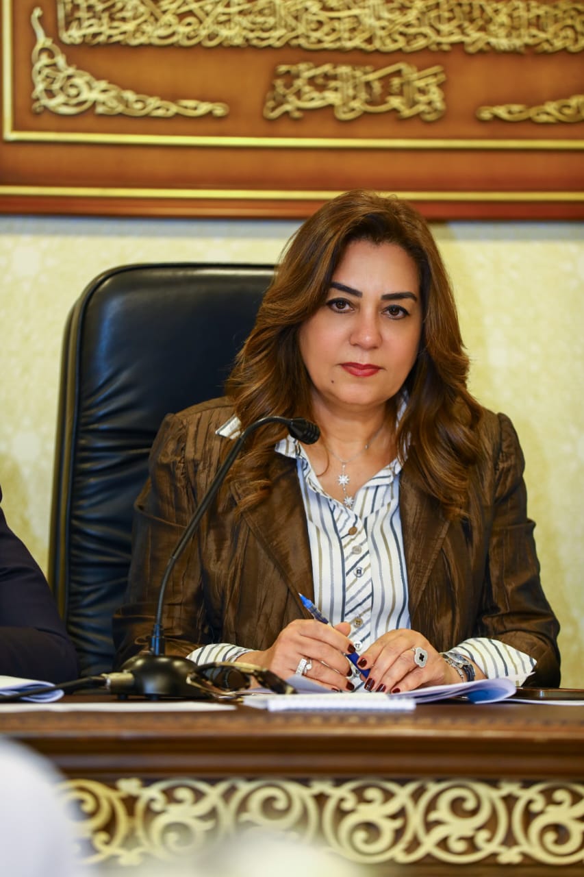 وزيرة التنمية المحلية