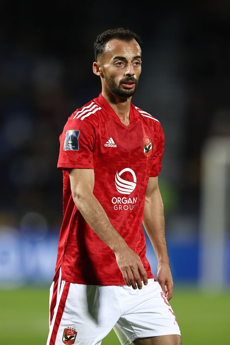 احمد عبد القادر