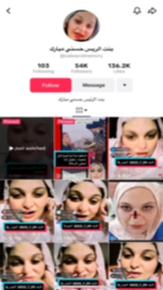 حساب بنت الرئيس مبارك