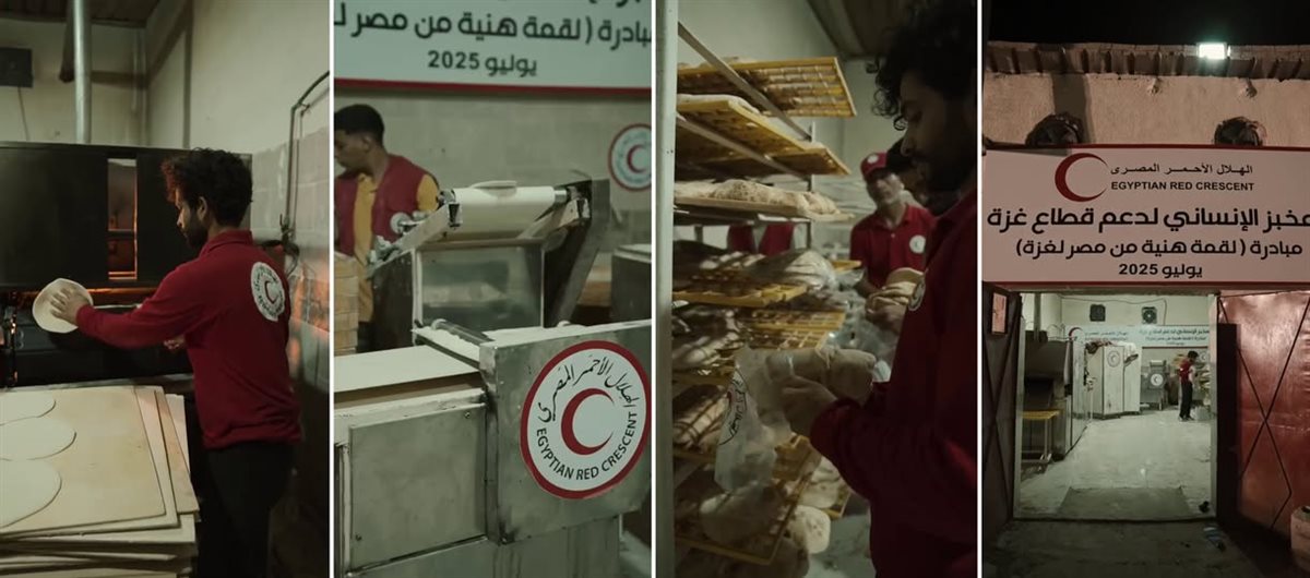<strong>الهلال الأحمر المصري</strong>