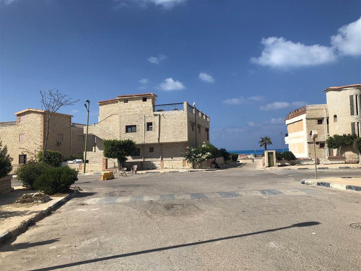 جامعة - أرشيفية