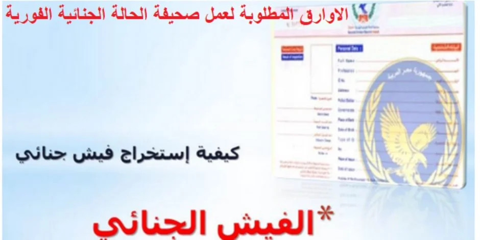 استخراج الفيش الجنائي أونلاين