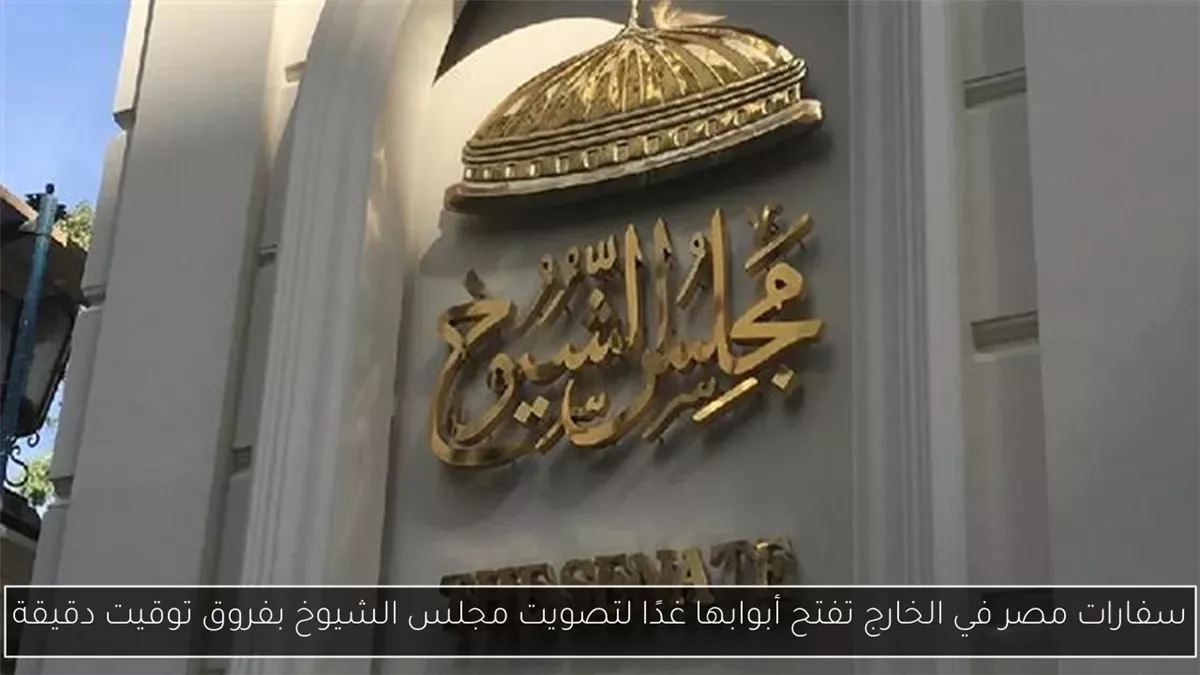 <strong>&nbsp;انتخابات مجلس الشيوخ 2025</strong>