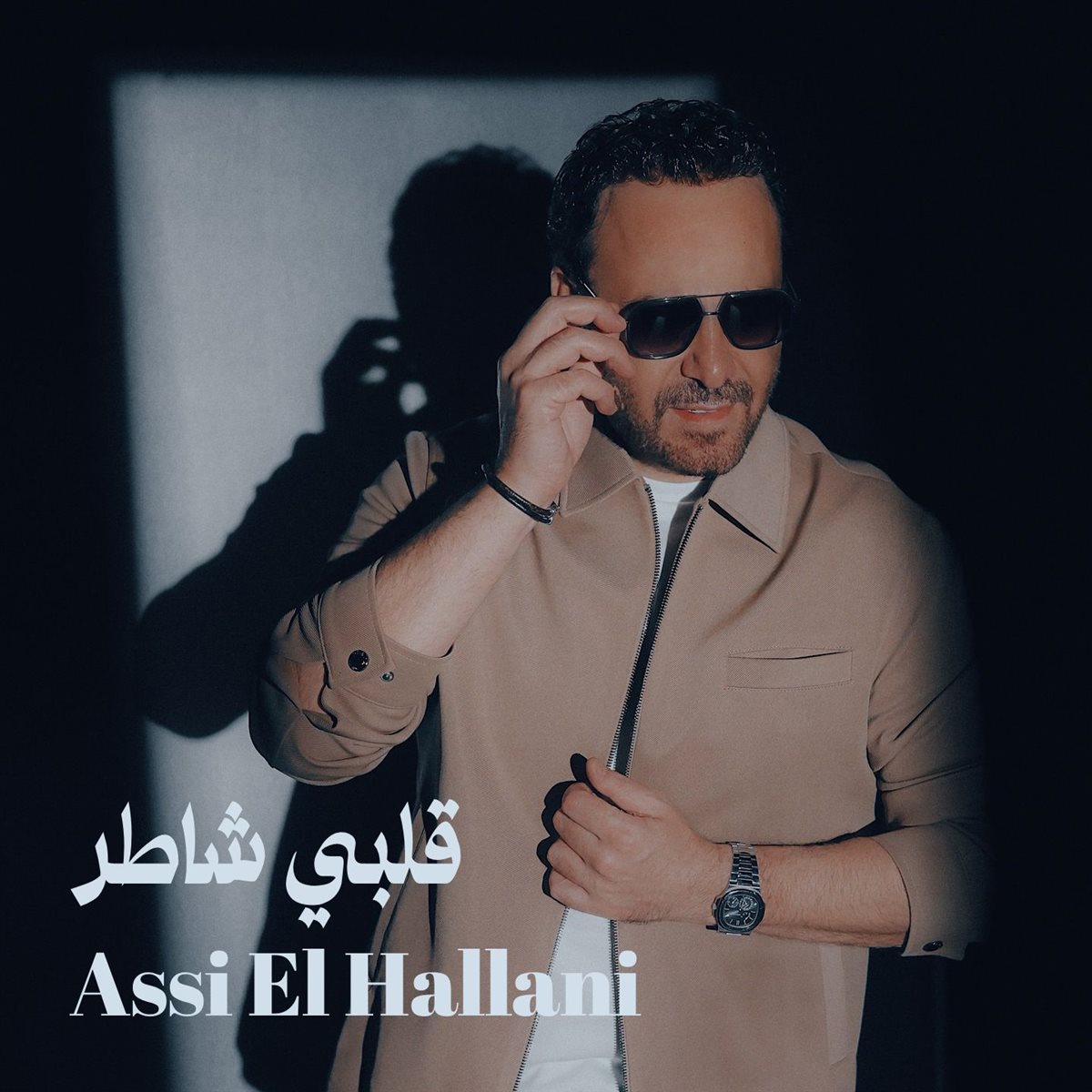 <strong>عاصي الحلاني</strong>
