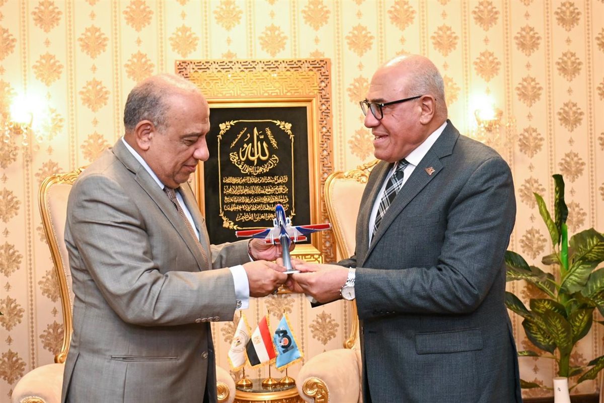 وزير الكهرباء&nbsp;