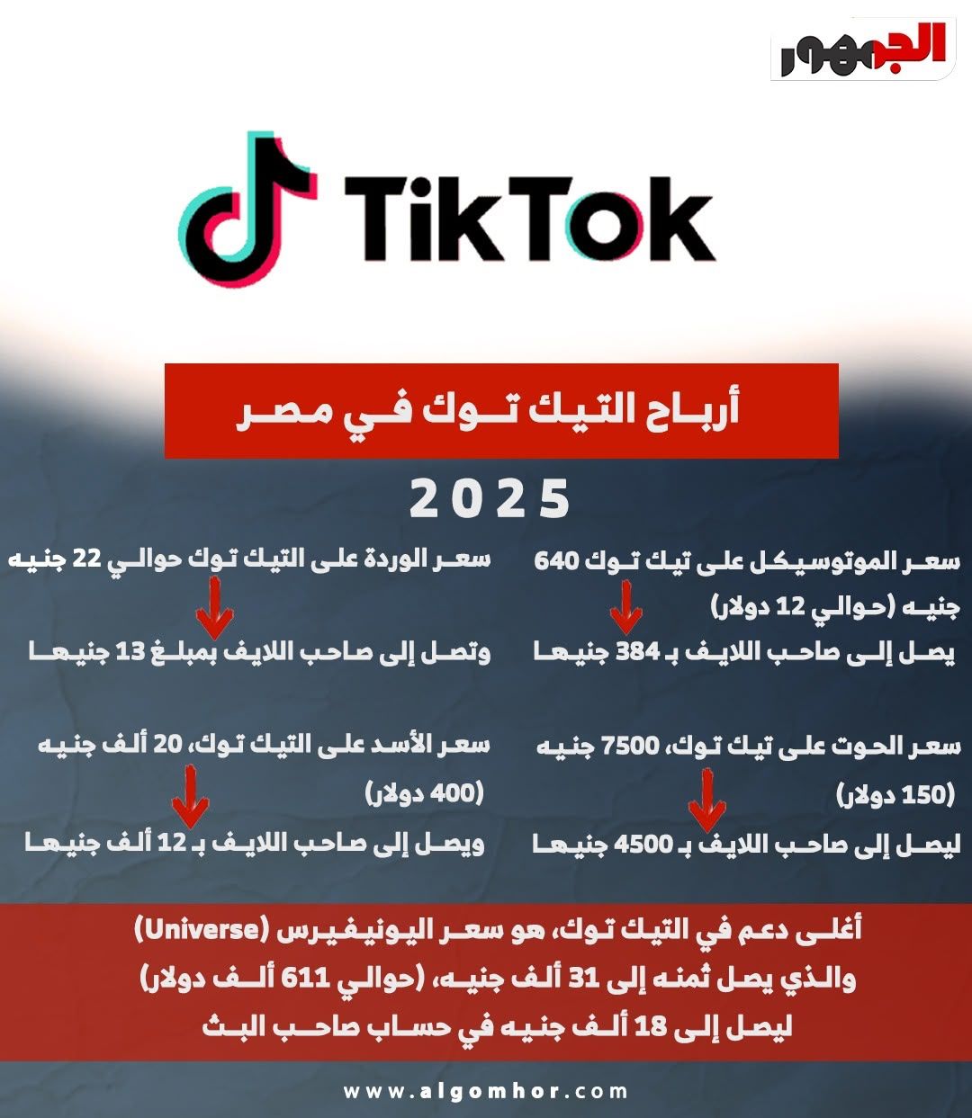 أرباح التيك توك