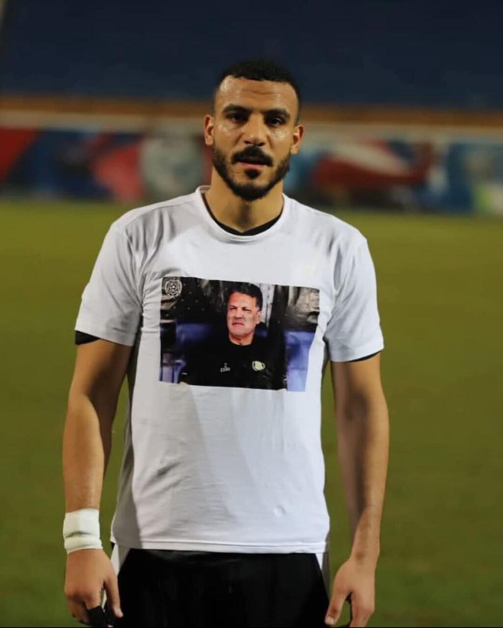 شكري نجيب