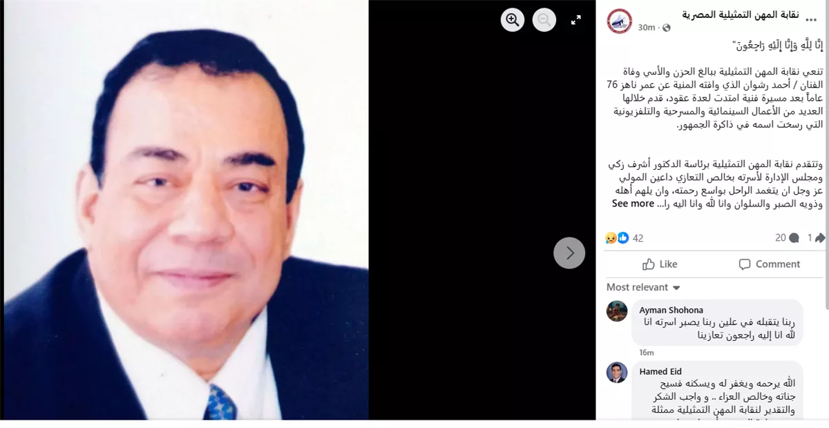 <strong>الفنان أحمد رشوان</strong>