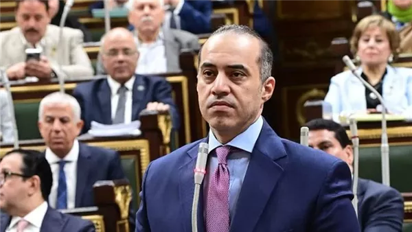 المستشار محمود فوزي