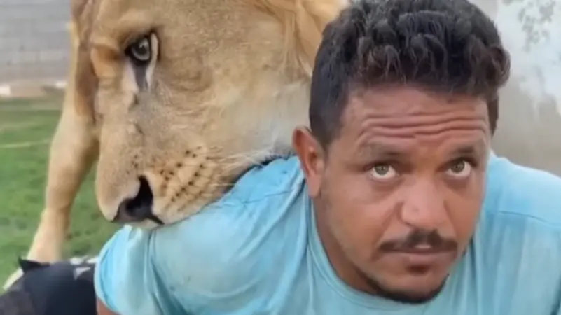 <strong>ليبي يطلق أسده على عامل مصري</strong>