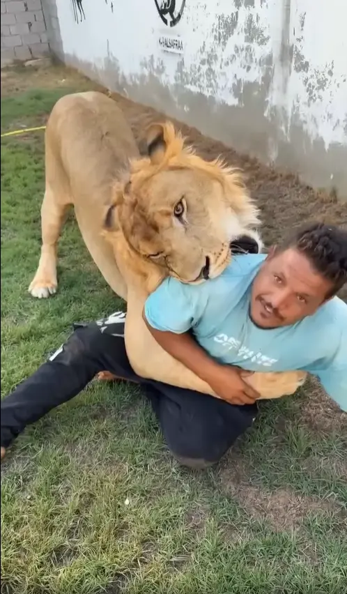 <strong>ليبي يطلق أسده على عامل مصري</strong>