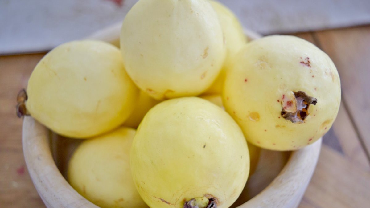 الجوافة