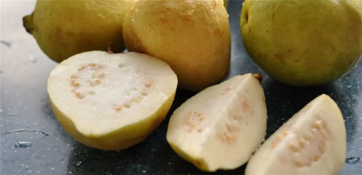 الجوافة&nbsp;