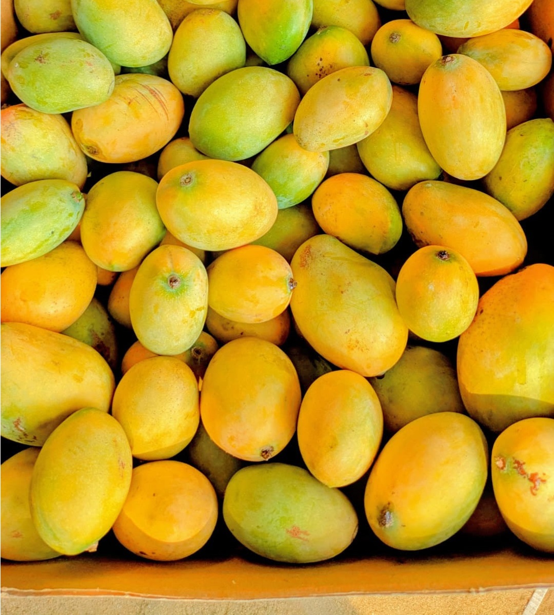 تفسير رؤية المانجو في المنام&nbsp;