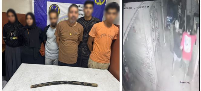 الداخلية تكشف تفاصيل فيديو تعدي شخص على سيدة بعصا خشبية في القاهرة