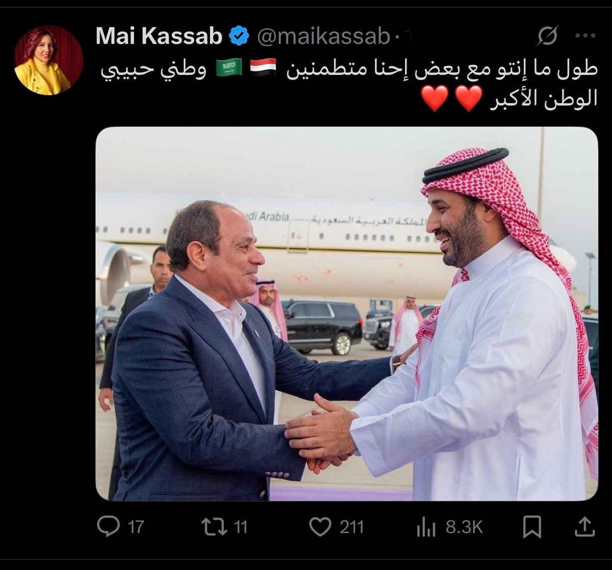 <strong>صفحة مي كساب</strong>