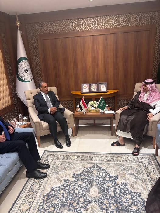 <strong>وزير الخارجية ونظيره السعودي خلال الاجتماع</strong>
