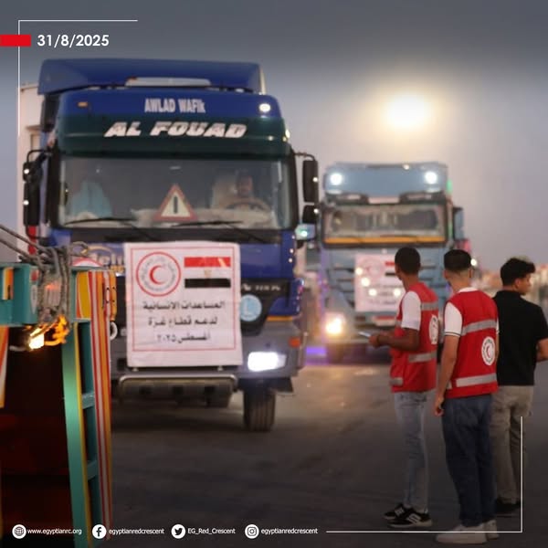 <strong>الهلال الأحمر المصري يدفع بنحو 3200 طن مساعدات إنسانية إلى غزة &nbsp;</strong>