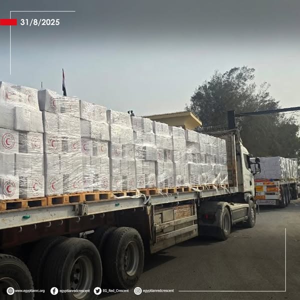 <strong>الهلال الأحمر المصري يدفع بنحو 3200 طن مساعدات إنسانية إلى غزة &nbsp;</strong>