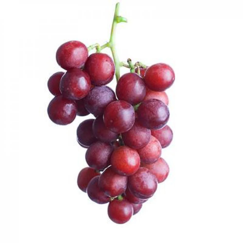 رؤية العنب&nbsp;
