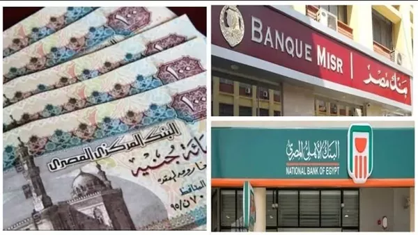 شهادات البنك الأهلي&nbsp;
