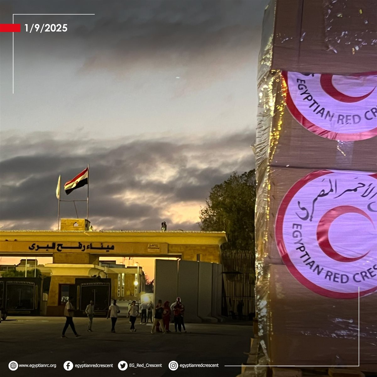 <strong>الدفع بأكثر من 2700 طن مساعدات إنسانية لقطاع غزة اليوم</strong>